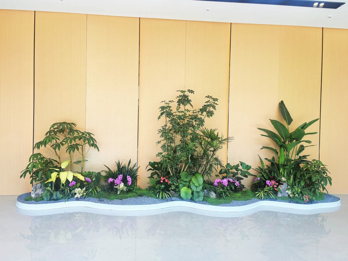 专业租摆镇海盆景,满足您的绿植需求