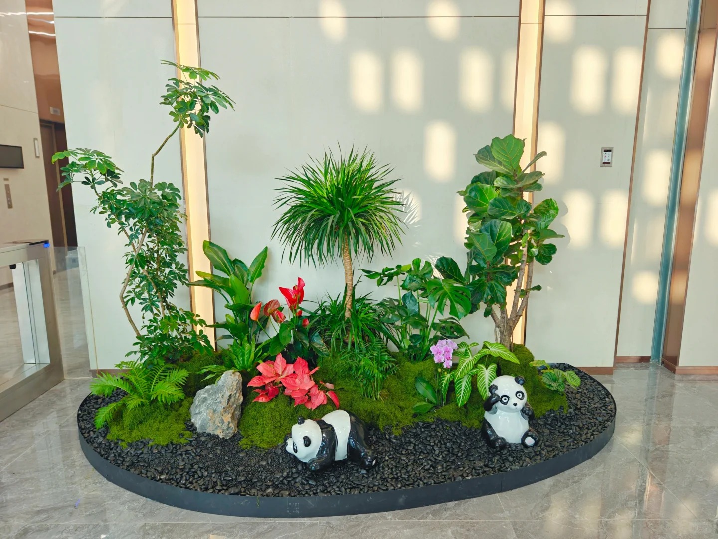 专业租摆镇海盆景,满足您的绿植需求